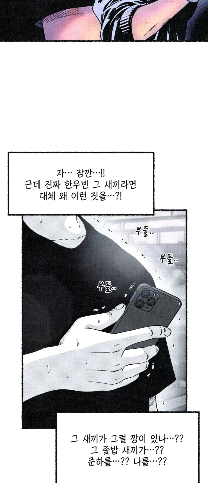 173101272779032yldwippq3.jpg