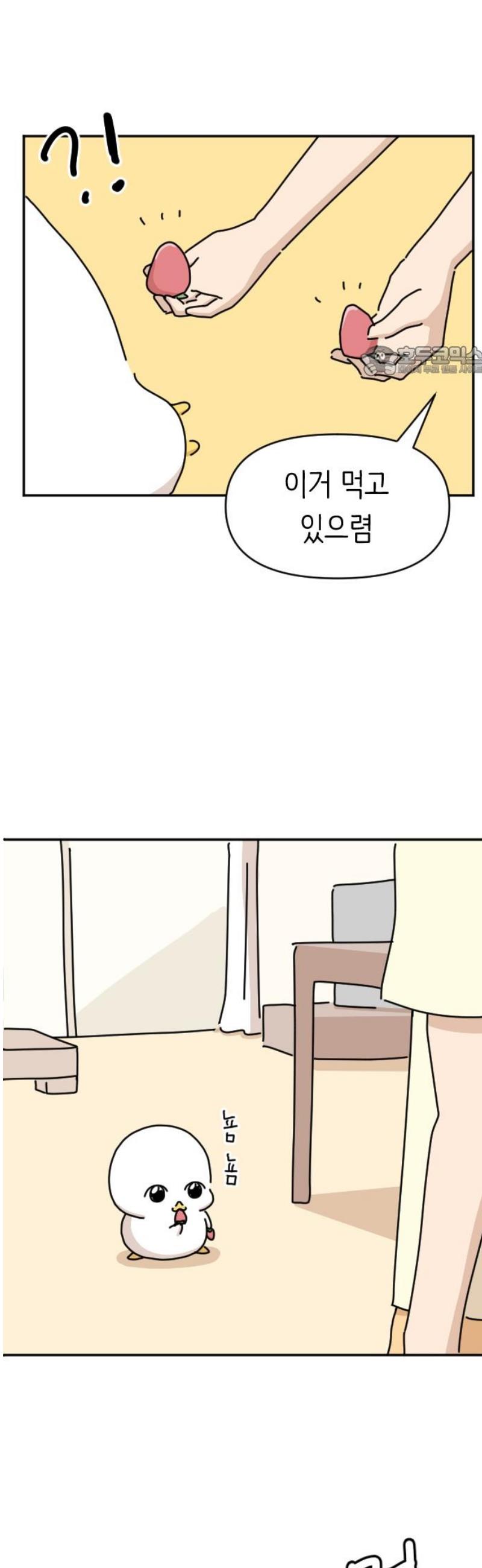 009.jpg