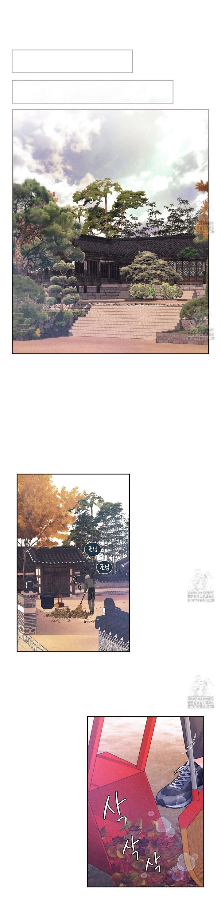 17383387082638wcdpu4purm.jpg