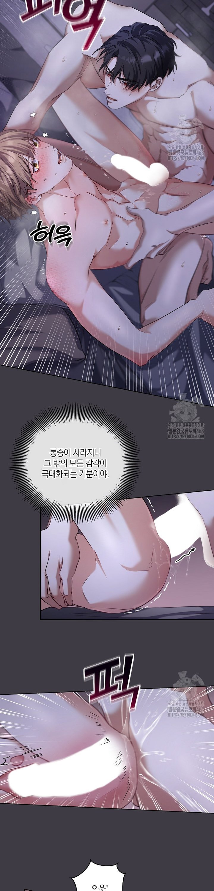 17384550105400drmdfsr64k.jpg