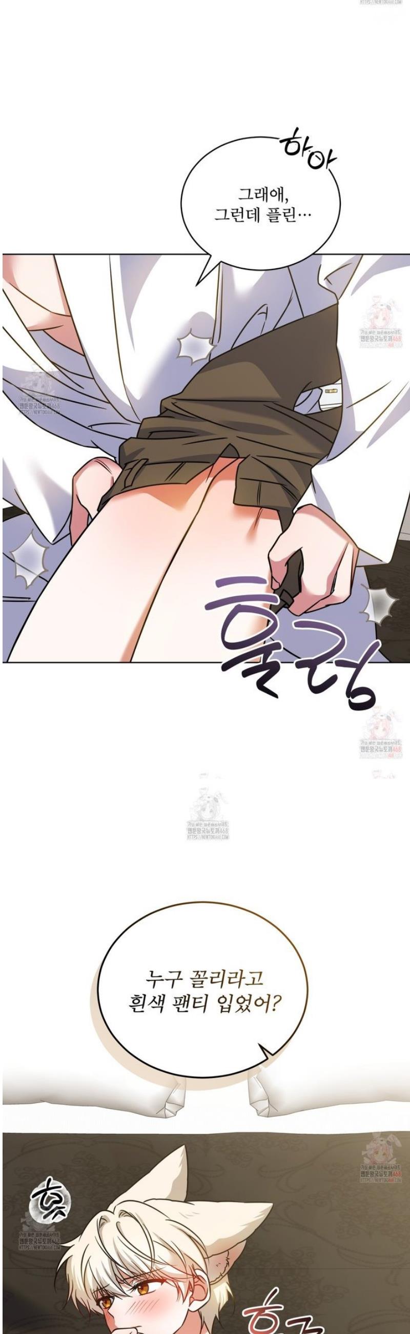 1746315813658k58whwhif7.jpg