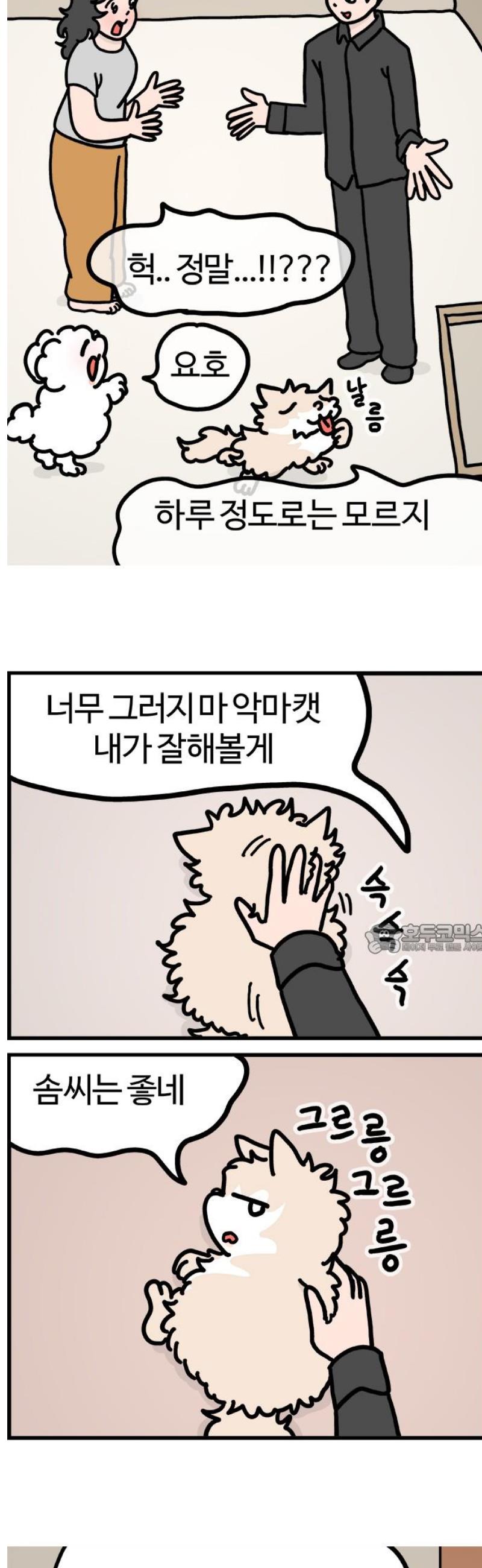 008.jpg