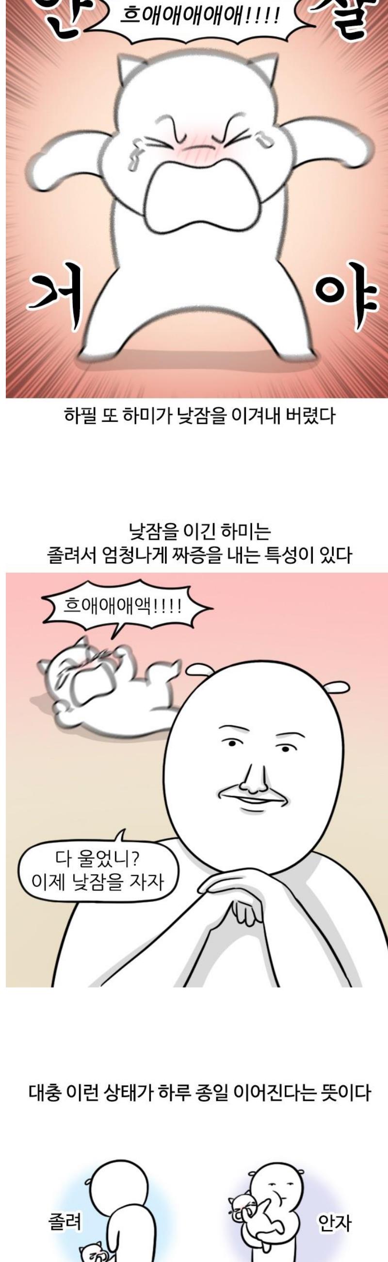 003.jpg