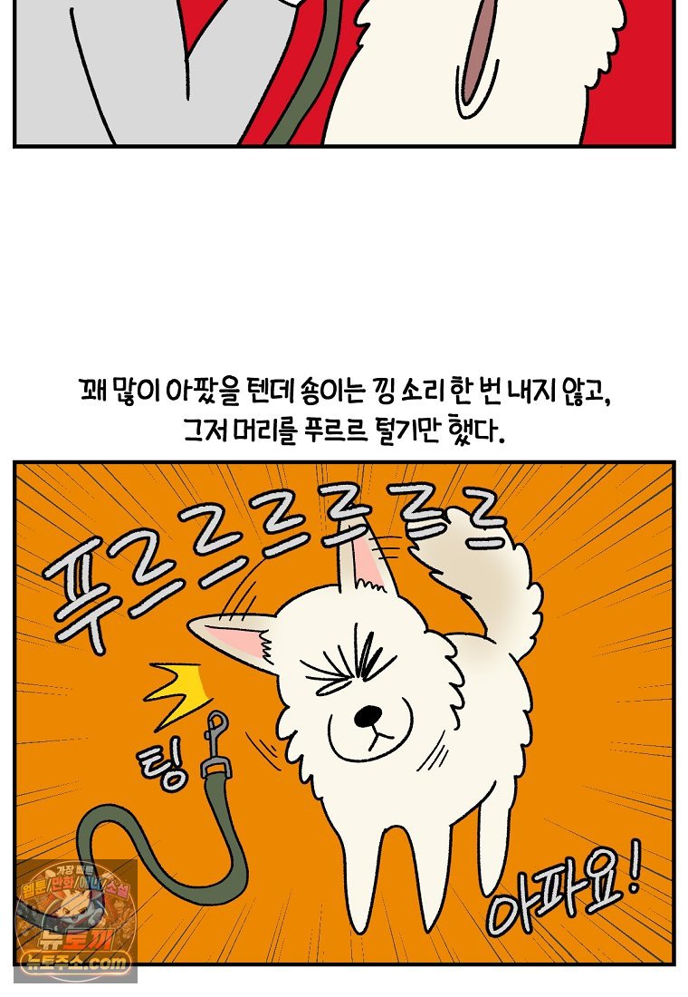 004.jpg