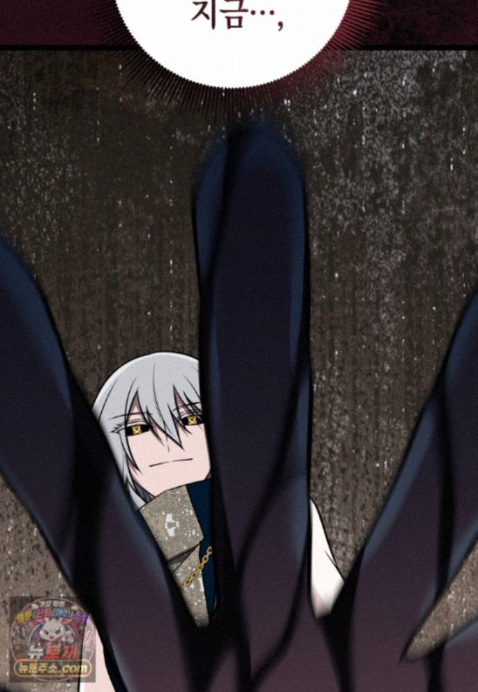 107.jpg