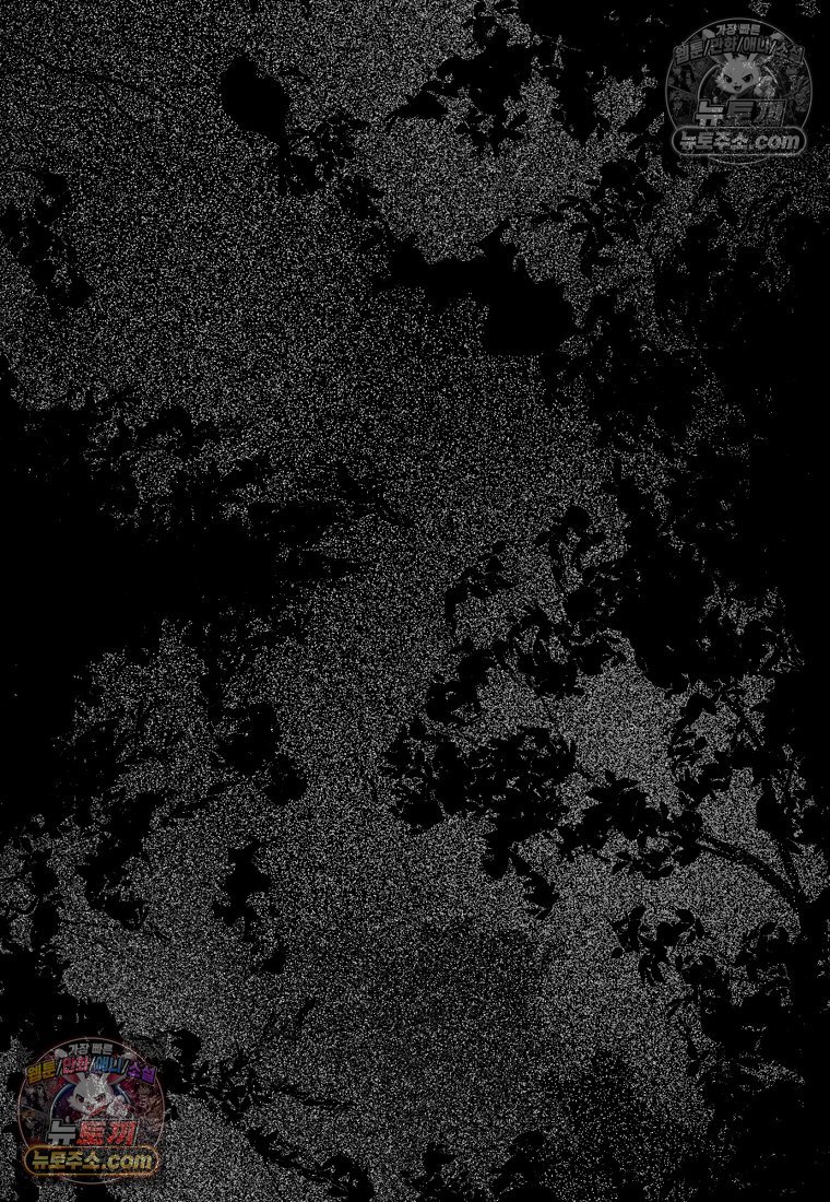 063.jpg