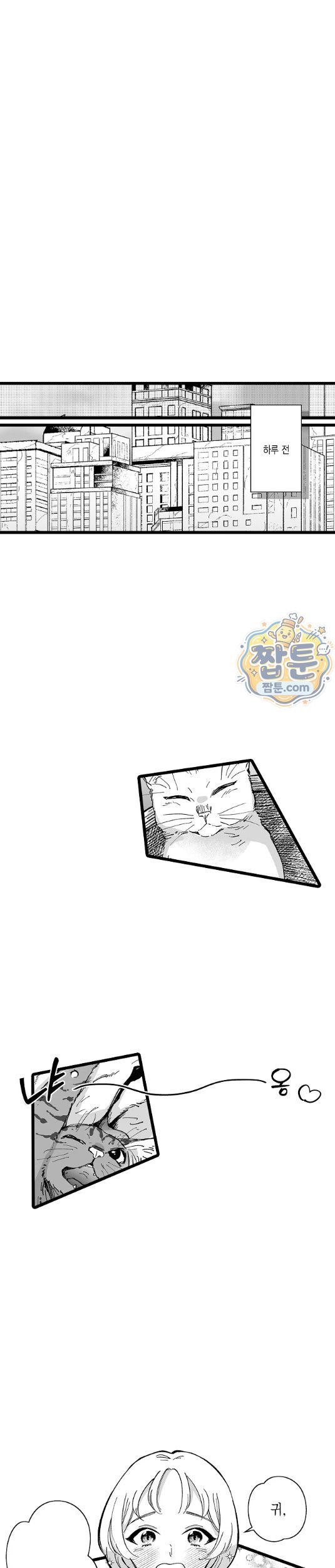 004.jpg